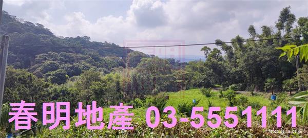 新竹新埔農舍-9