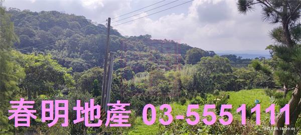 新竹新埔農舍-10