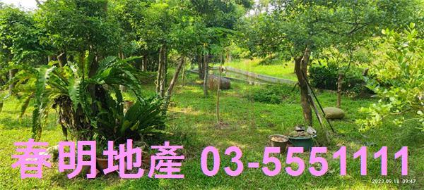 新竹新埔農舍-6