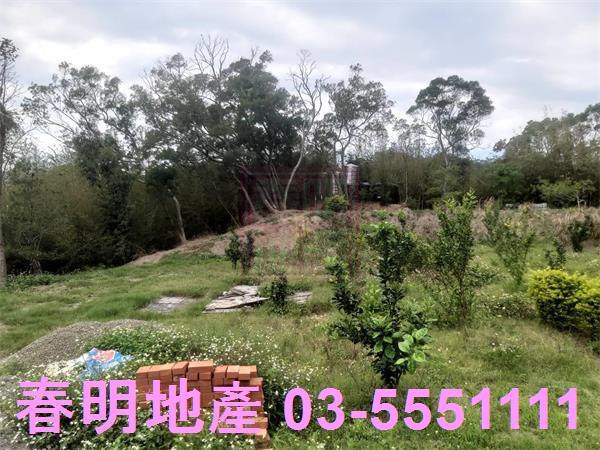 新竹新埔農舍-1