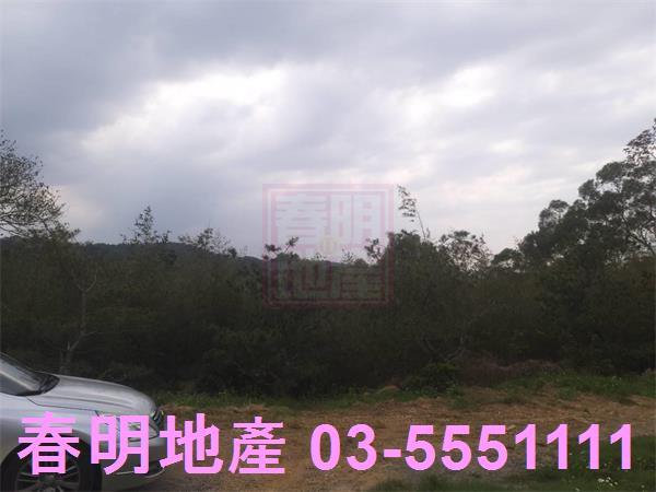 新竹新埔農舍-2