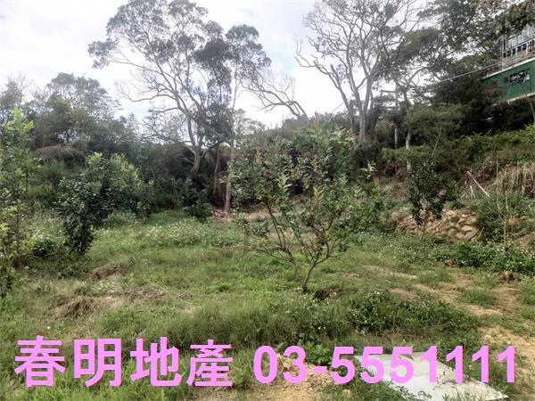 新竹新埔農舍-4
