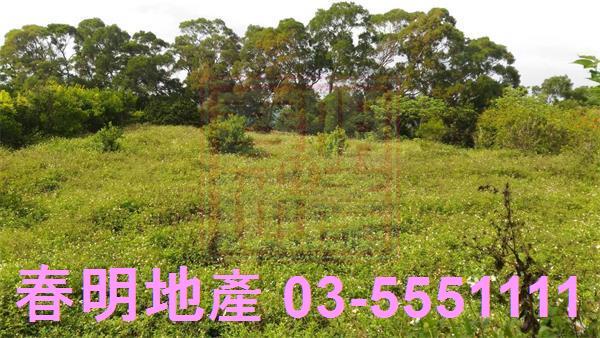 新竹峨眉農地-0