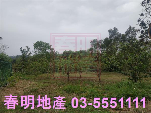 峨眉農地-2