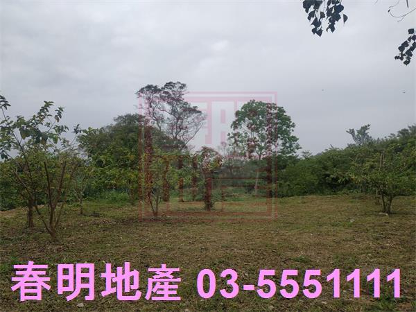 峨眉農地-5