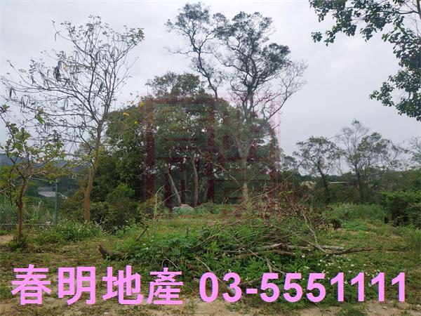 峨眉農地-6
