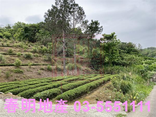 新竹峨眉農地-2