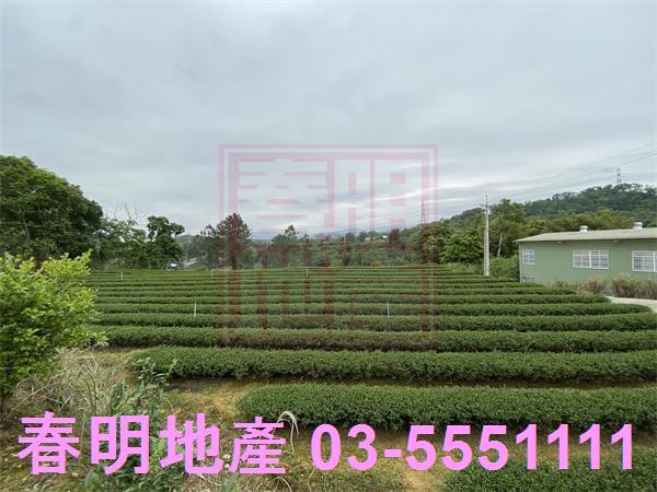 新竹峨眉農地-3
