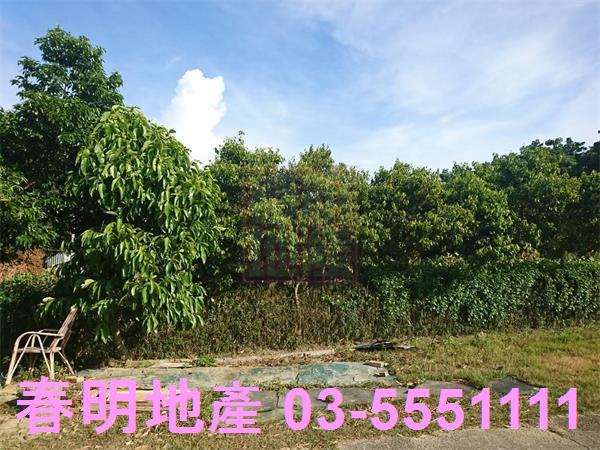香山農地-2