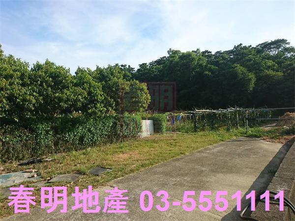 香山農地-3