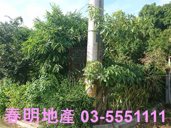 香山農地-5
