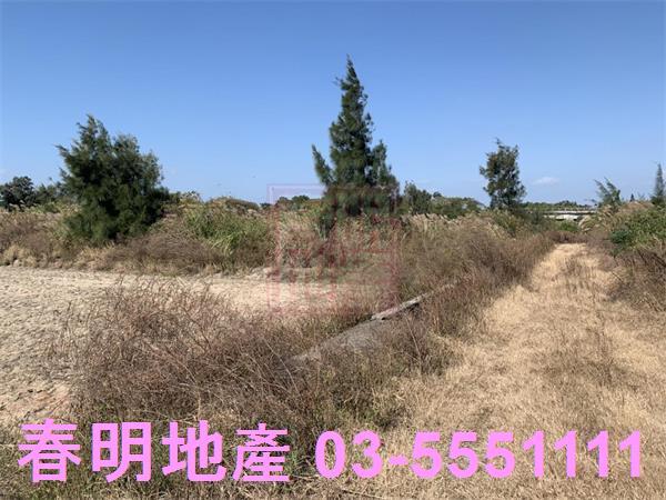 新竹農地-6