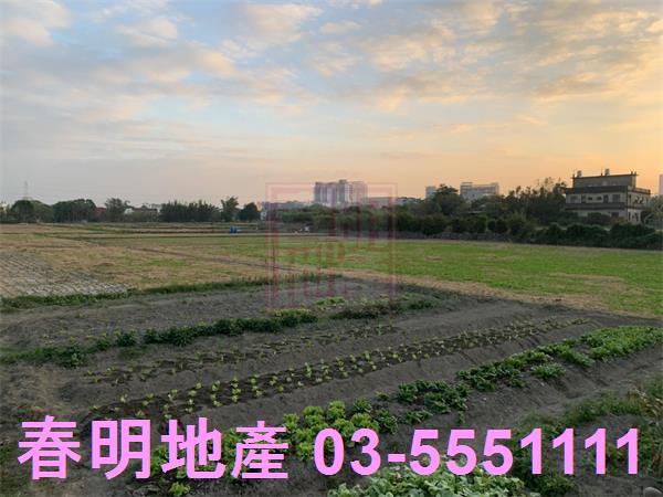 竹北農地-0
