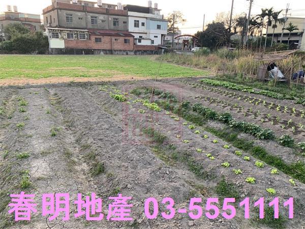 竹北農地-4