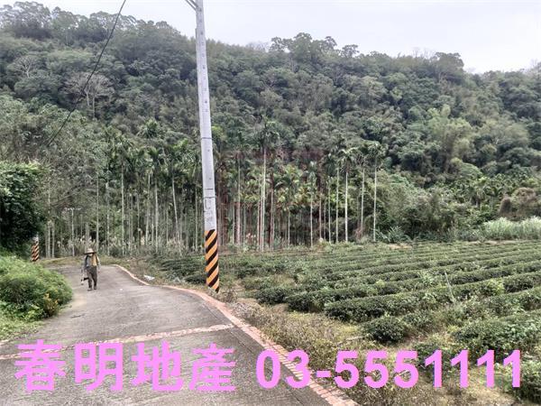 峨眉農地-2