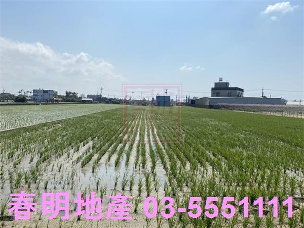新竹竹北農地-2