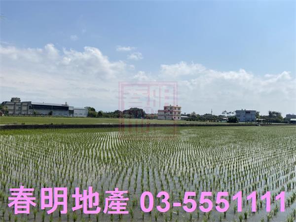 新竹竹北農地-4