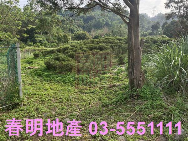 新竹北埔殯葬用地-0