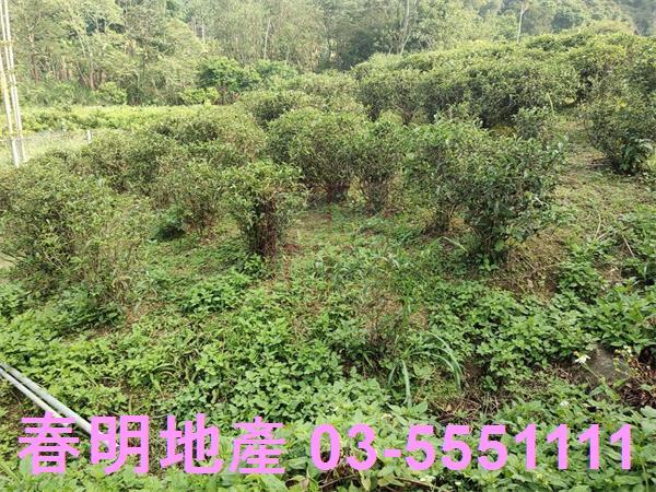 新竹北埔殯葬用地-1