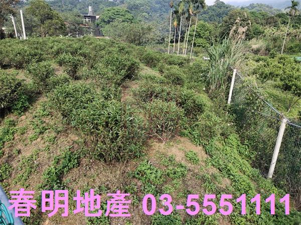 新竹北埔殯葬用地-3