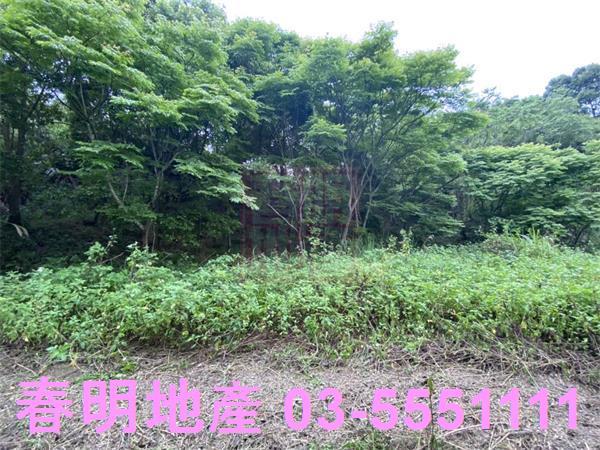 橫山農地-5