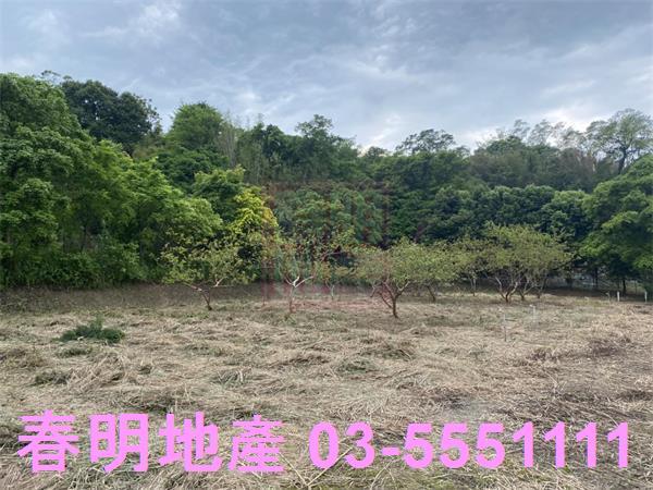 橫山農地-6