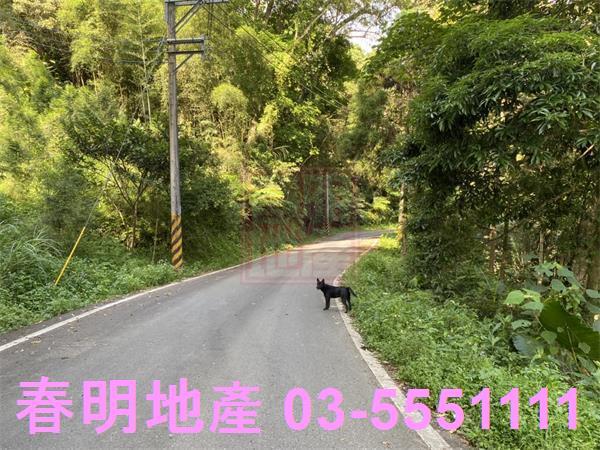 新竹橫山農地-0