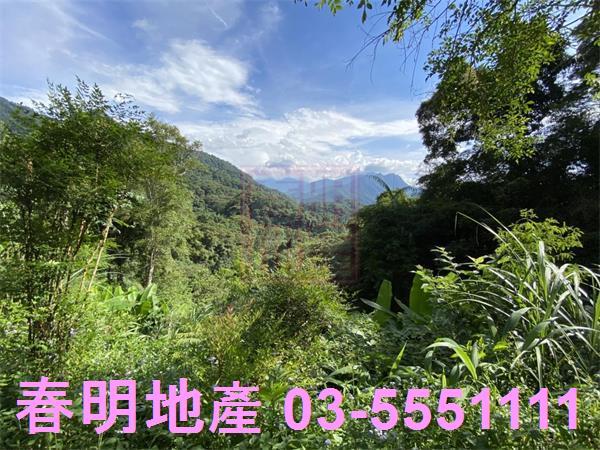 新竹橫山農地-5