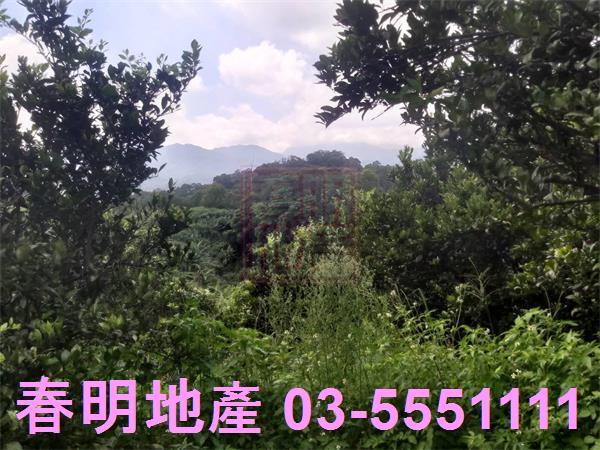 峨眉農地-2