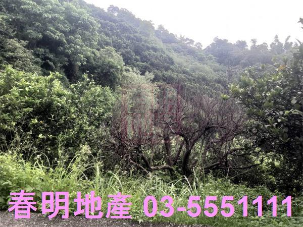 峨眉農地-3