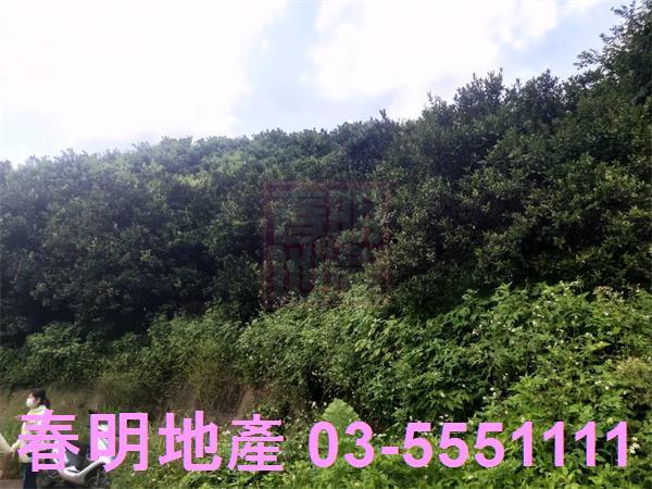 峨眉農地-4