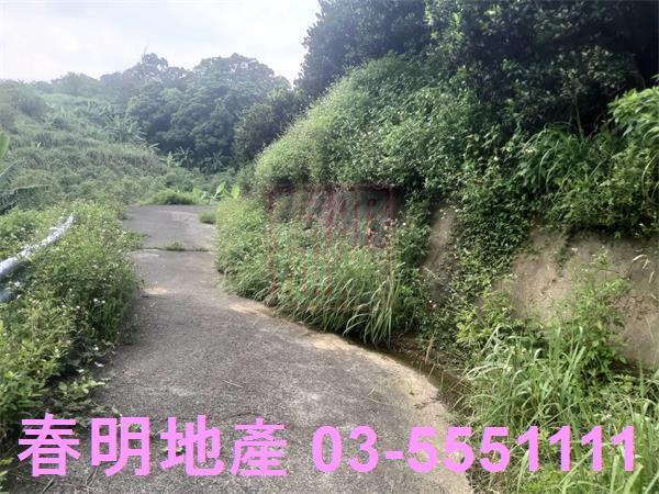 峨眉農地-5