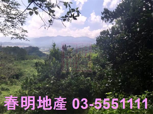峨眉農地-6