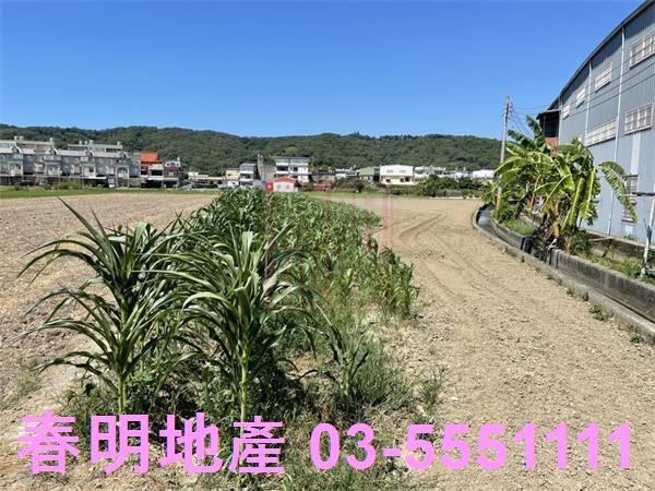 新竹竹北農地-0