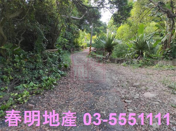 新埔農地-2