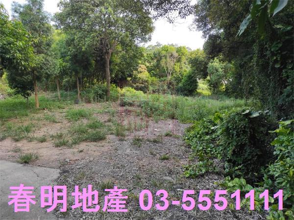新埔農地-3