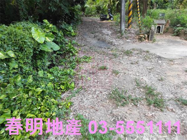 新埔農地-4
