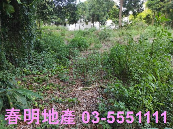 新埔農地-5
