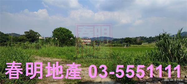 新埔農地-10