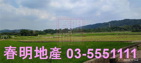 新埔農地-7