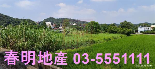 新埔農地-8