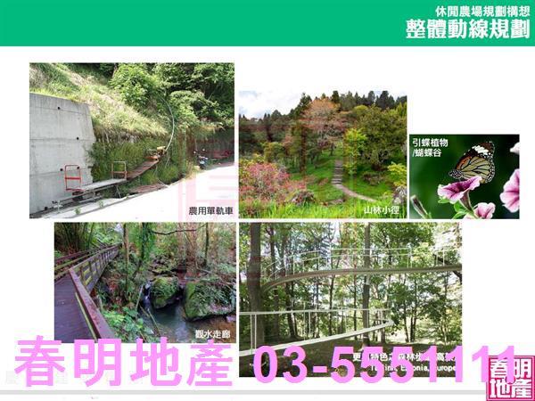 新竹農地-11