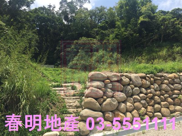 新竹農地-1