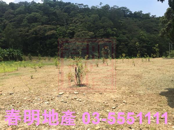 新竹農地-2