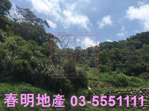 新竹農地-5
