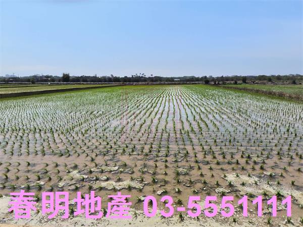 新竹湖口農地-1