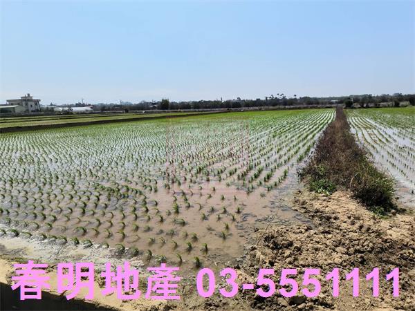 新竹湖口農地-5