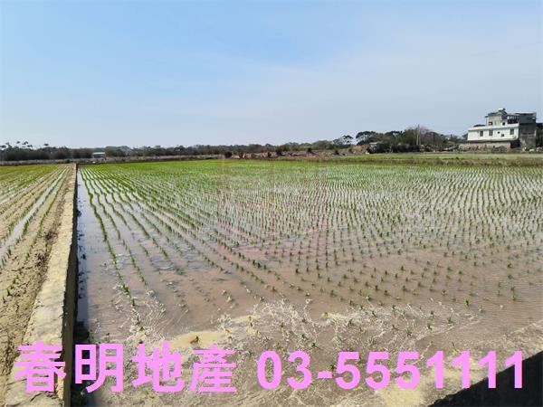 新竹湖口農地-6