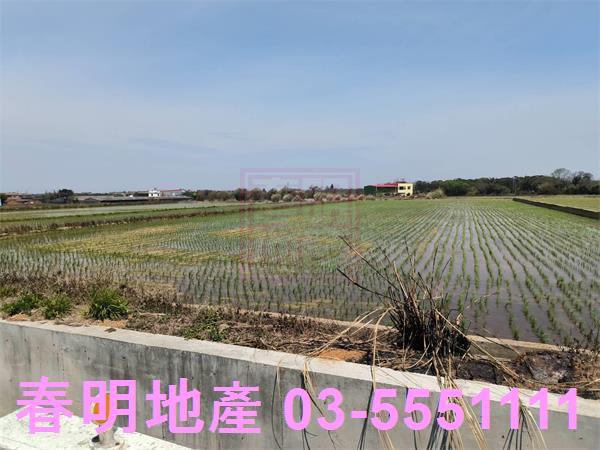 新竹湖口農地-8
