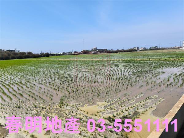 新竹新豐農地-0